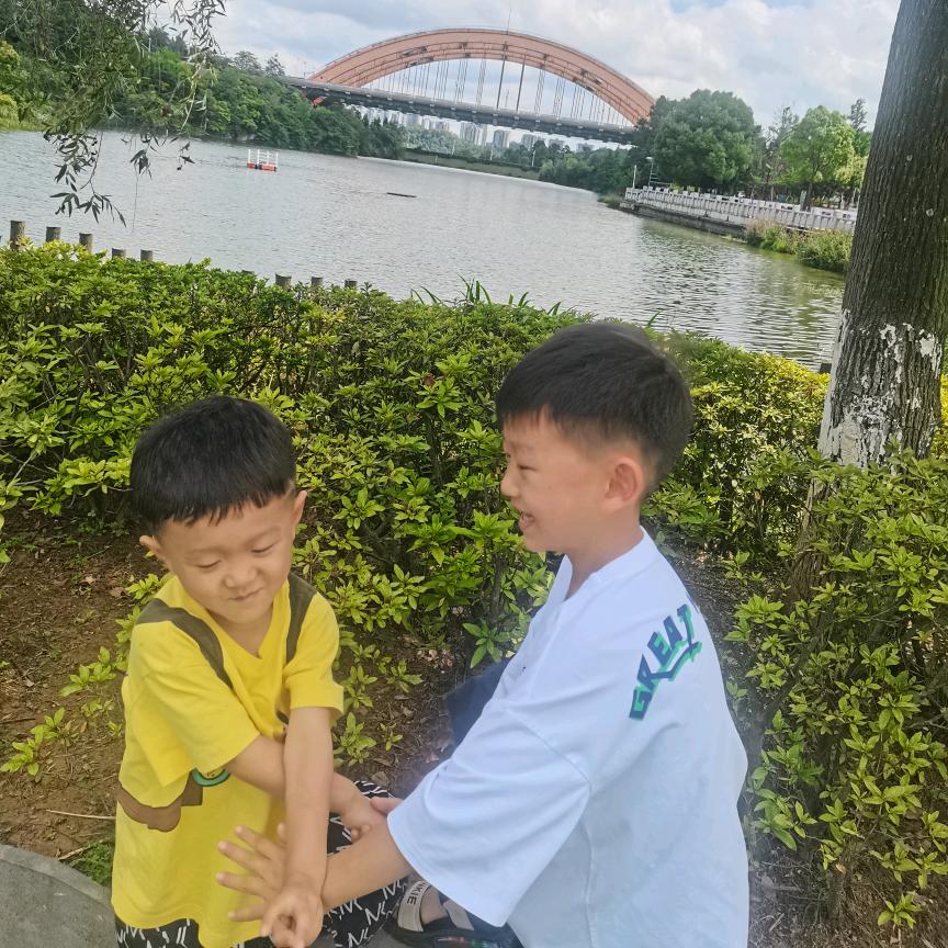 会姐