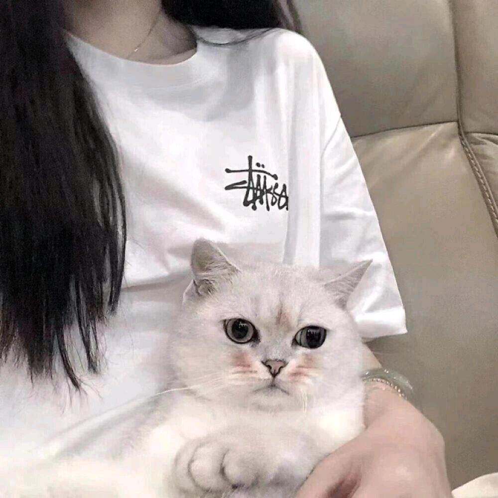 贝贝好物分享