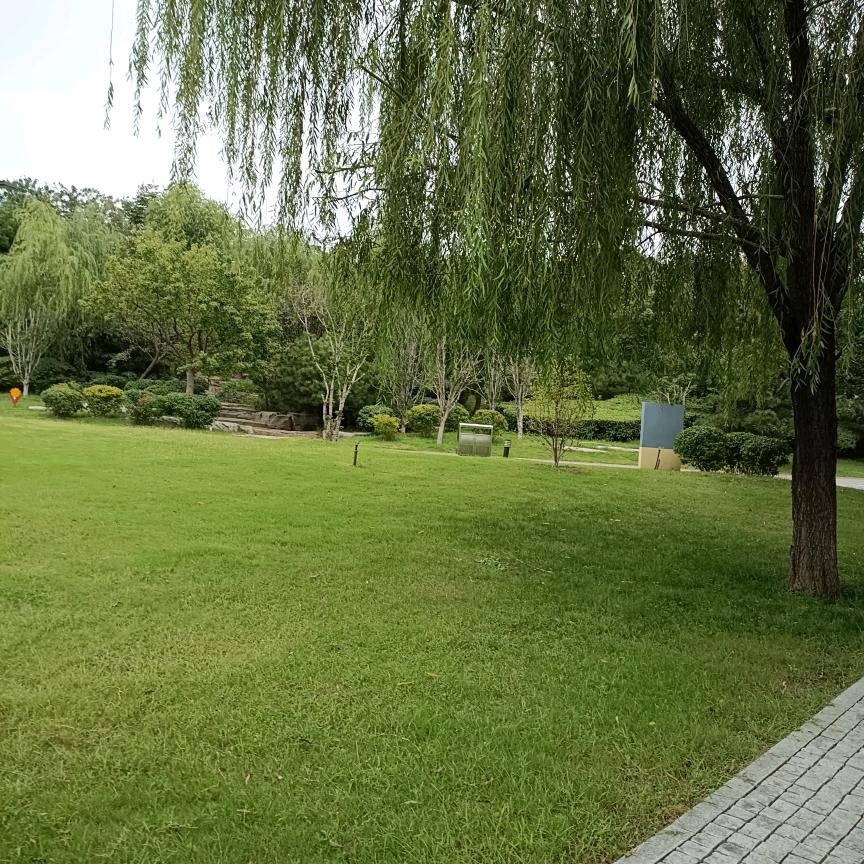 风雨人生《拒聊》《勿连赞》