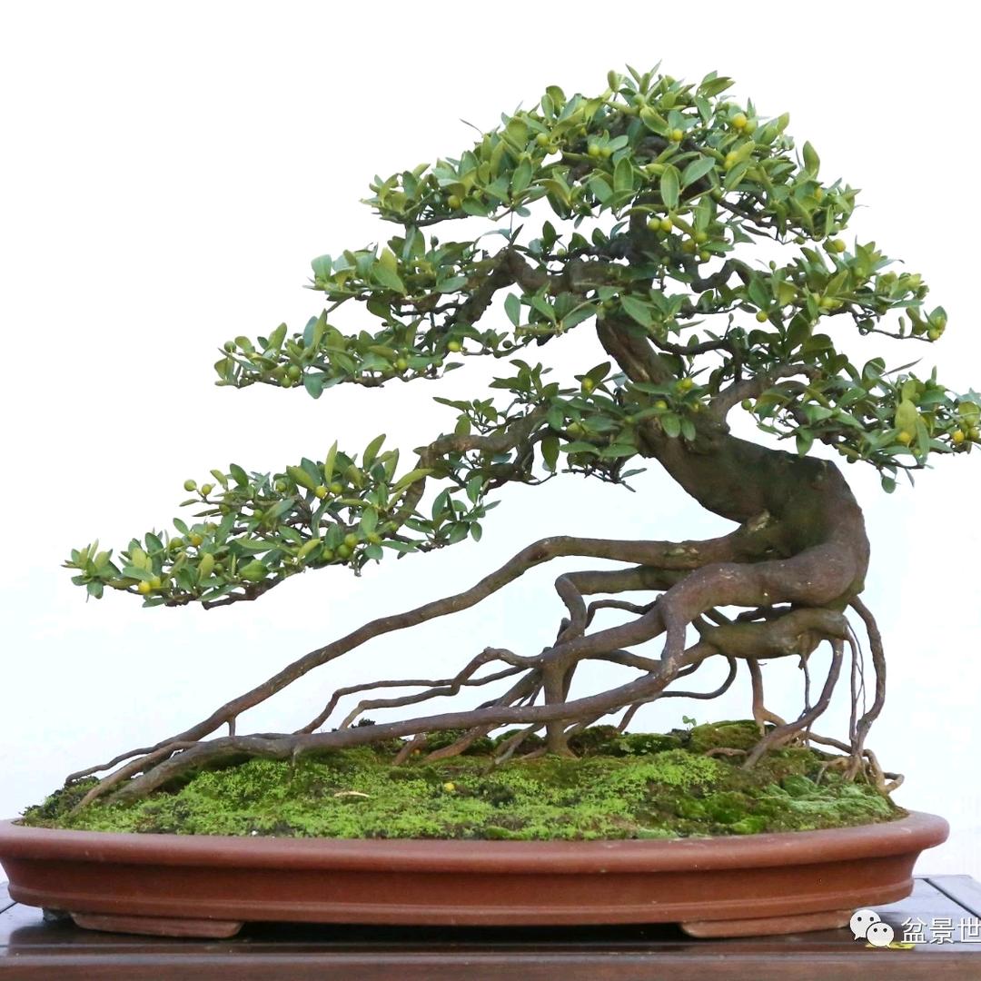 飞水和记