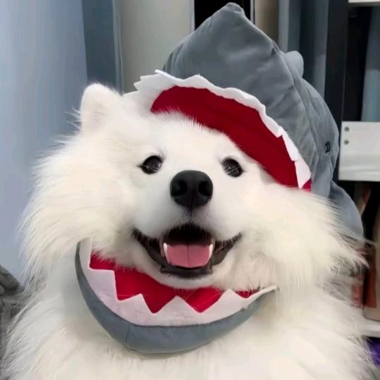 Tsuki_