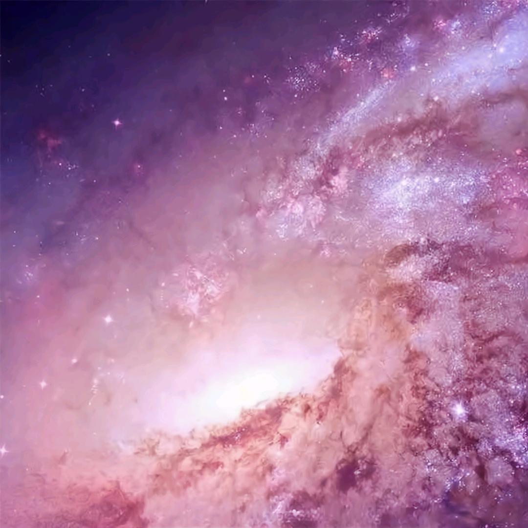 生活像美食，要细细品