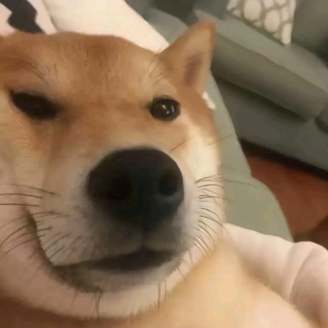 何秋亊