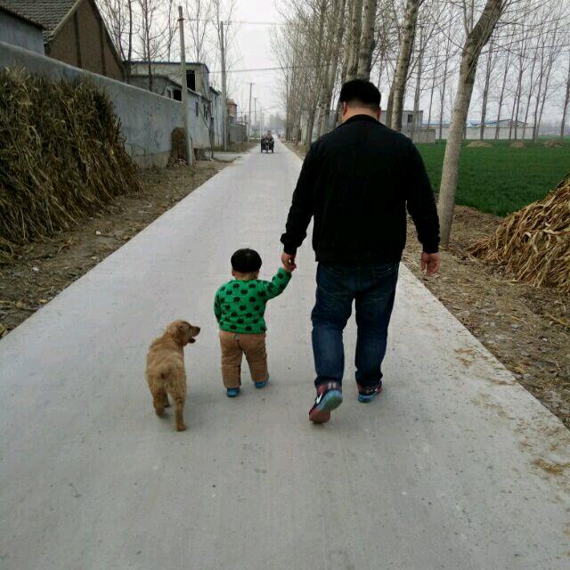 就算失败也高调退场