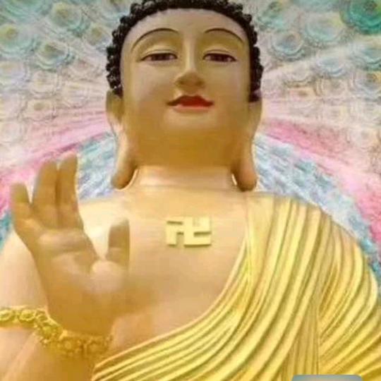 许昌市  薛筱筱