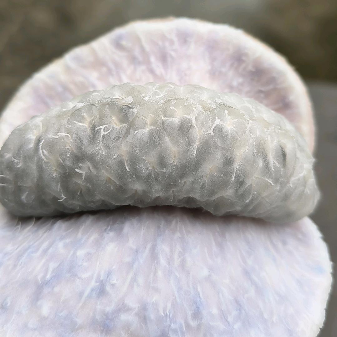 ˚*̥(∗*⁰͈꒨⁰͈)*̥