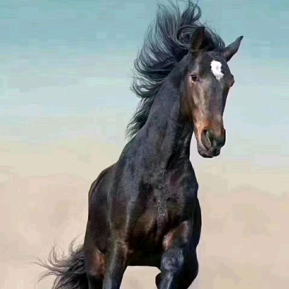 水果发展局-刘局长