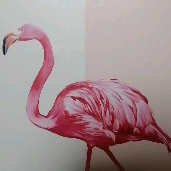 我土气不是错