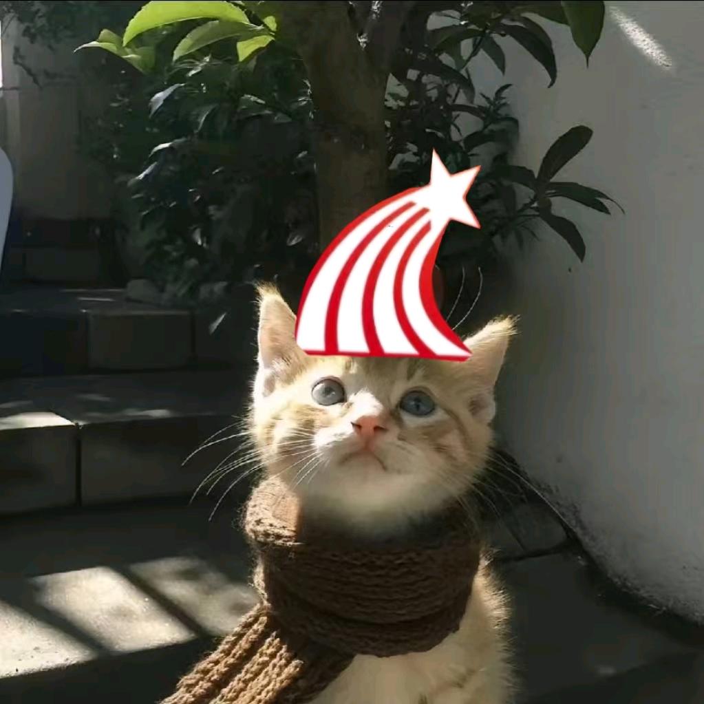 一周七顿放纵餐