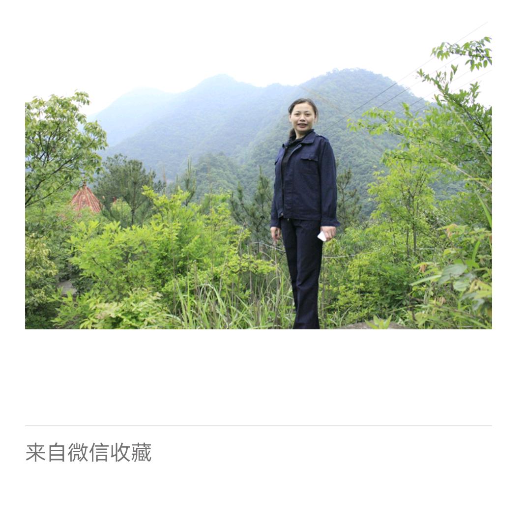 我愿活出爱