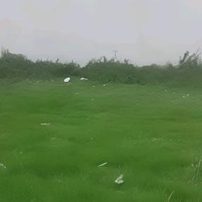 修