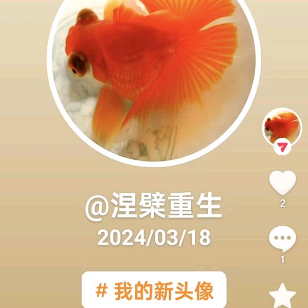一帆风顺