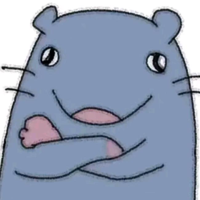 阴沟老鼠🐭
