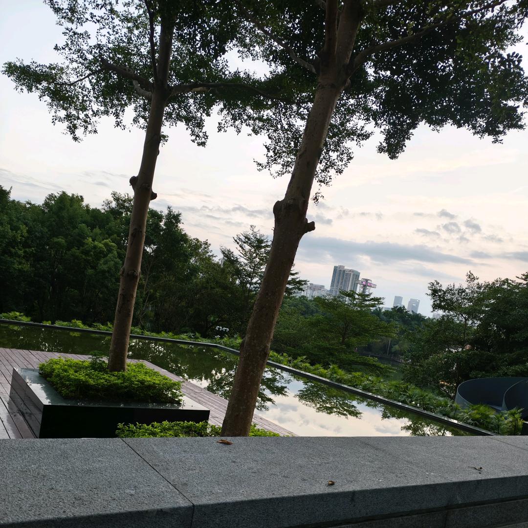 涵涵2025年3月23号