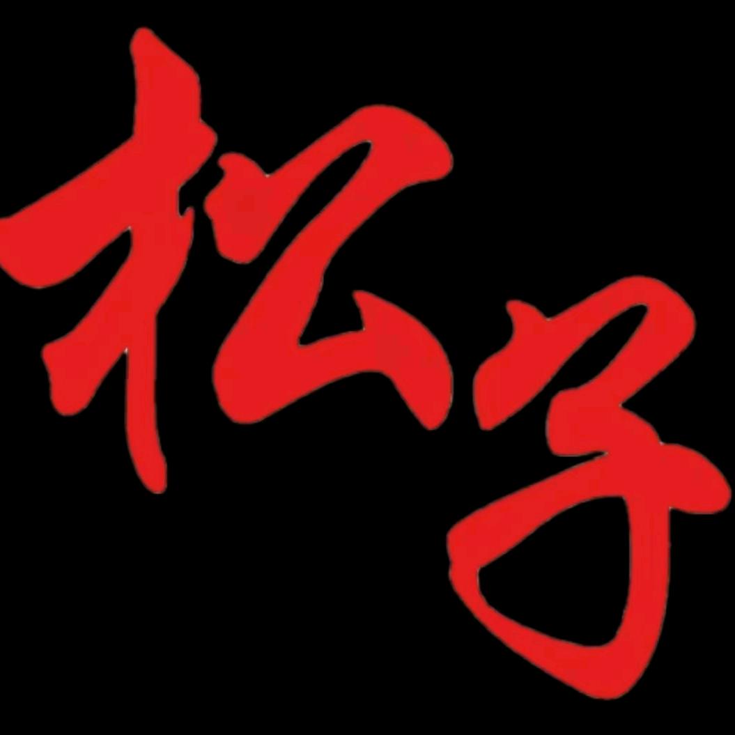 松子朝阳北路店