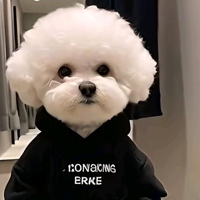 Echo : （念念不忘 必有回响）
