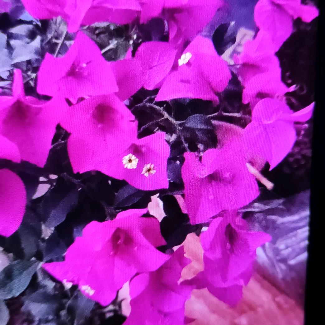 安全