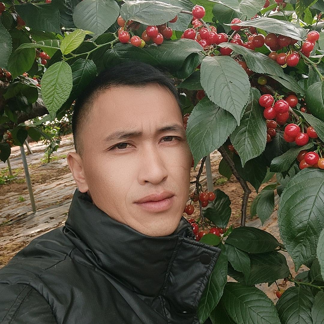 贵州二哥《山鹰🦅》