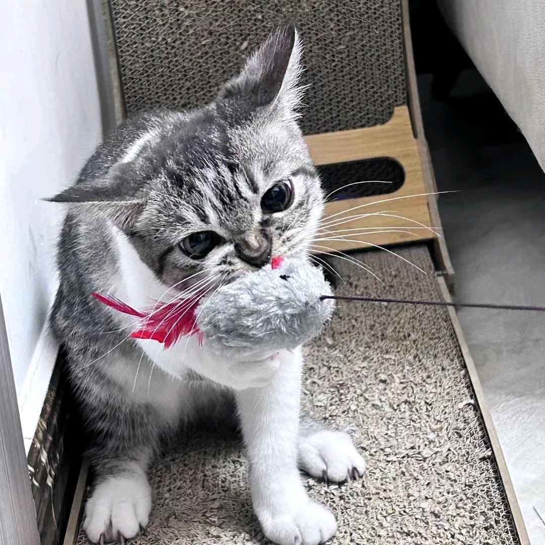 李远