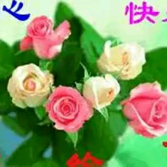 菊姐