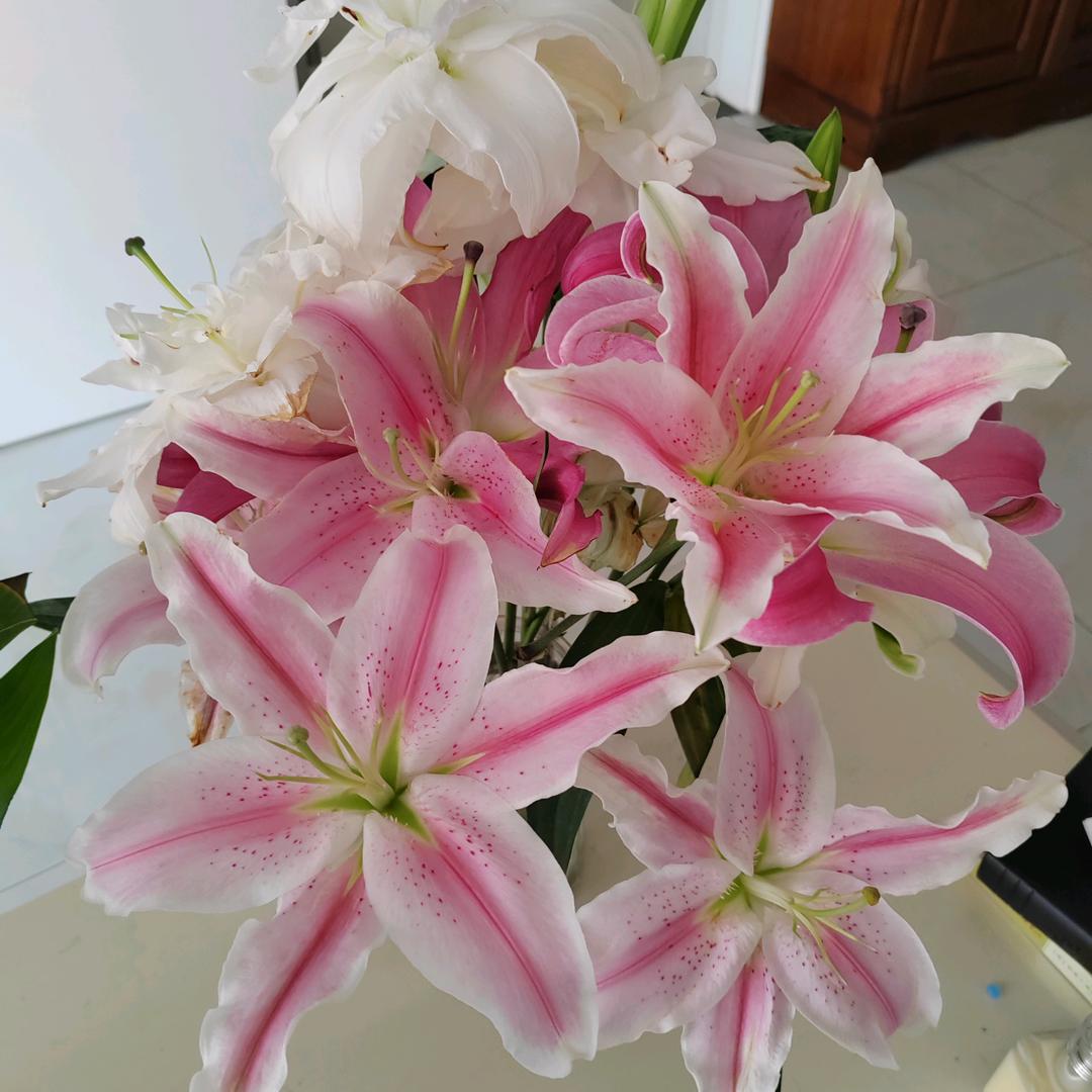 好运好物分享