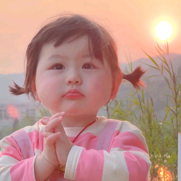 兰芝豆