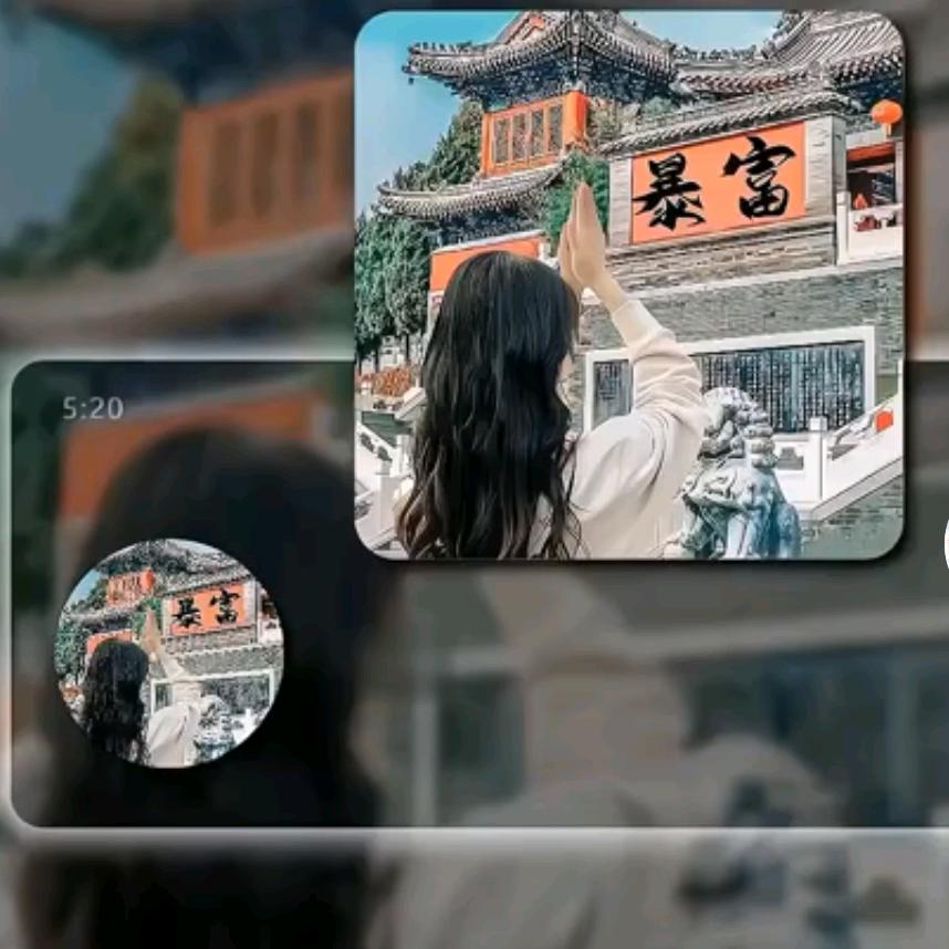 小未来💰💰