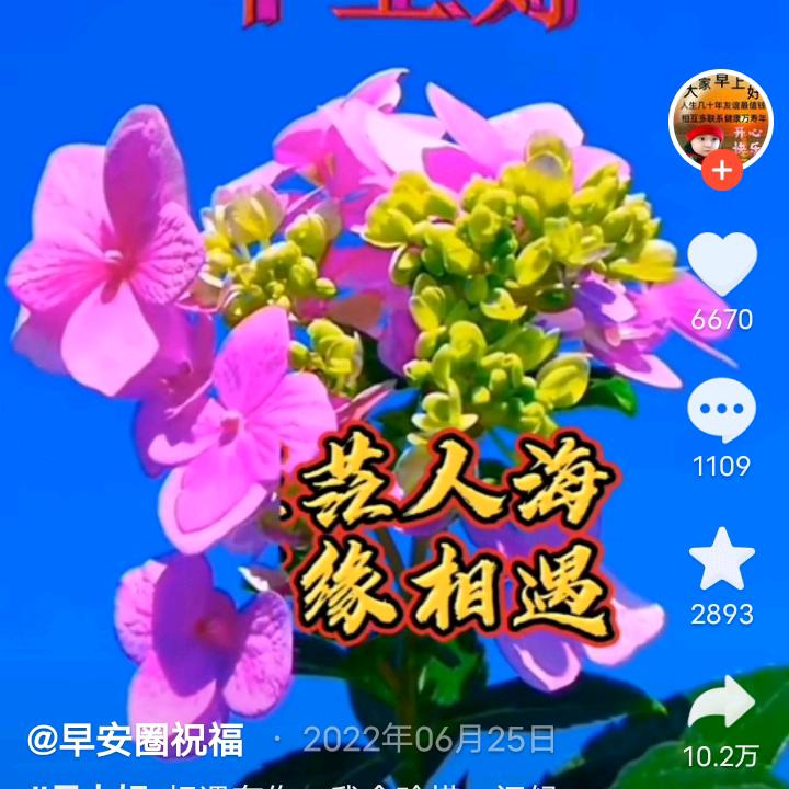 渡劫人