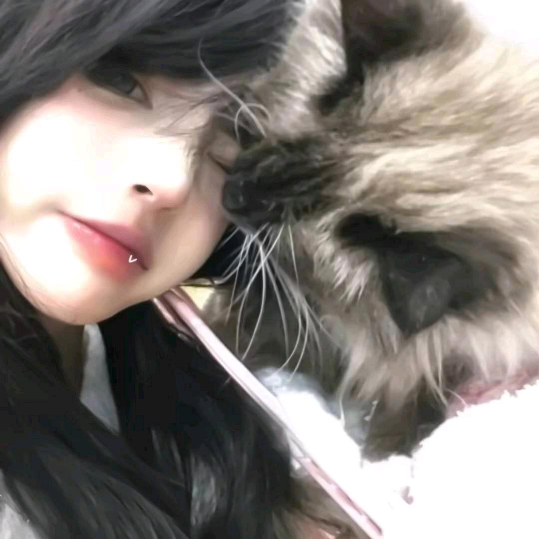 ៸៸᳐小猫៸៸᳐ ੭