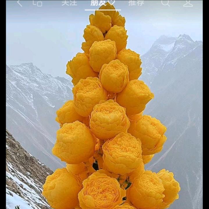 用户2895254668314