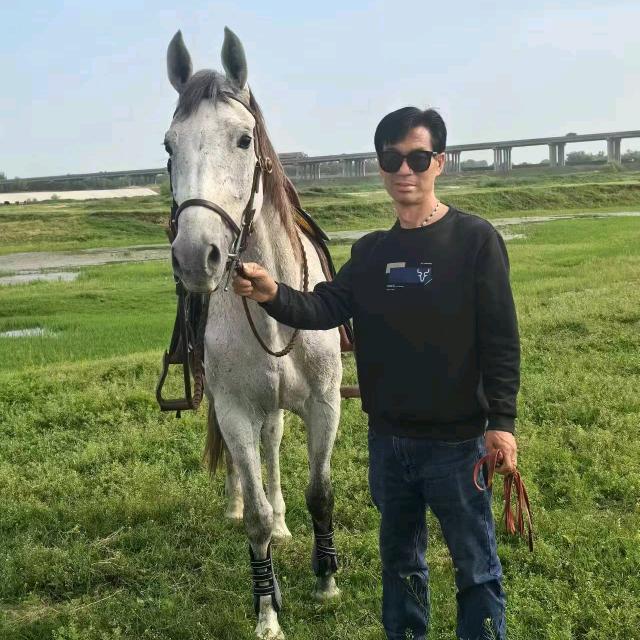 南阳市靳岗跑马场🏇