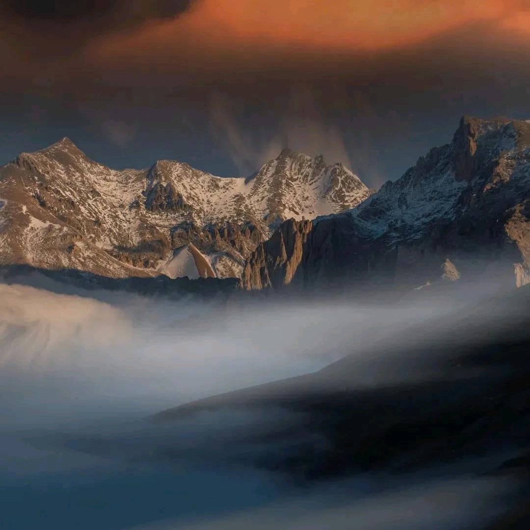 赫hongXia