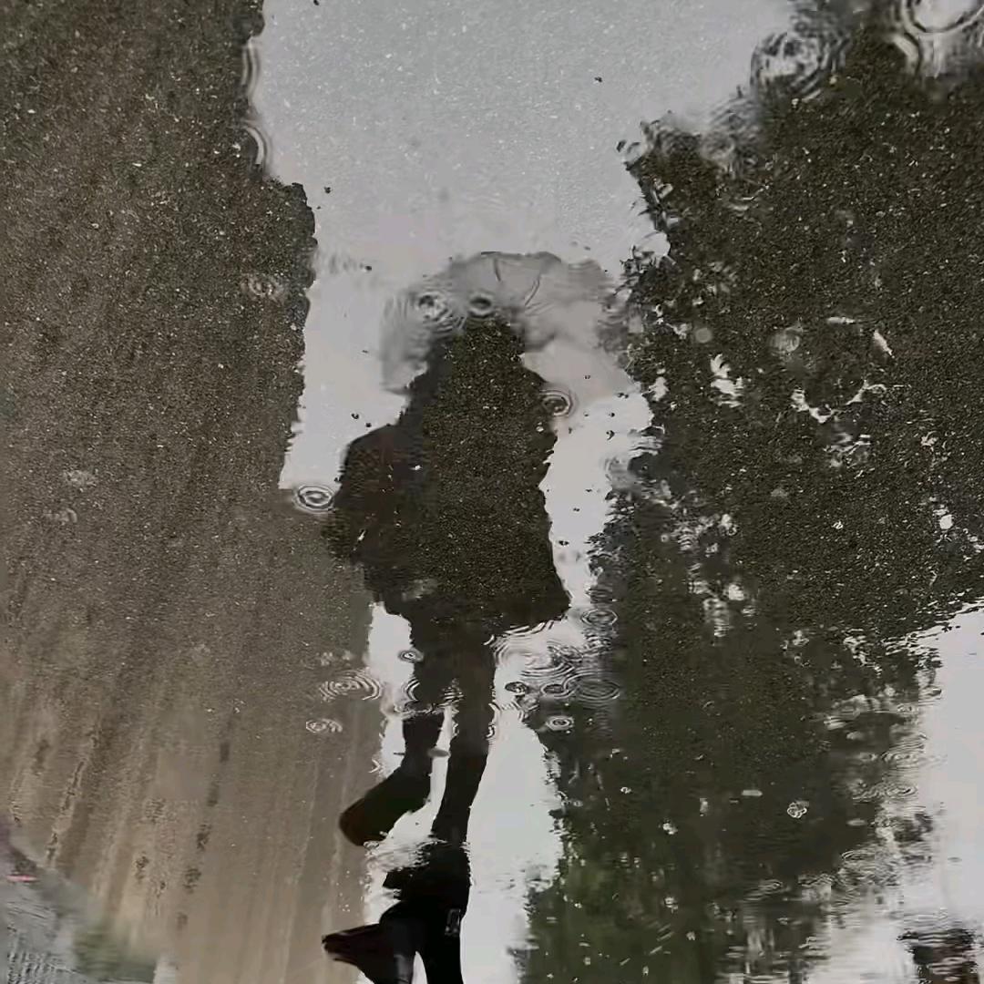 小雅雅南波万