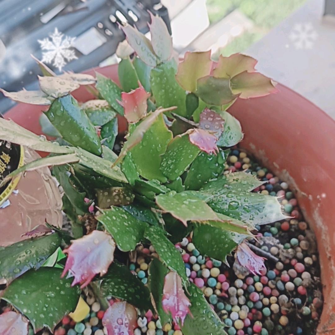 8.10 ̑̑̑̑̑̑̑̑̑̑̑̑̑̑̑