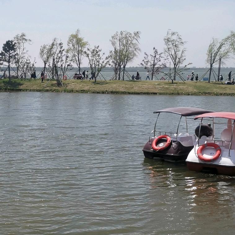 乘风破浪-
