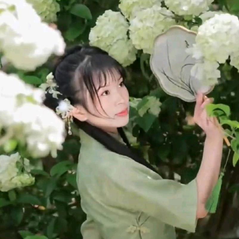 龙🐉宝