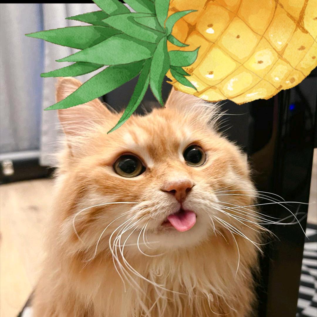 🎼咧咧🍍