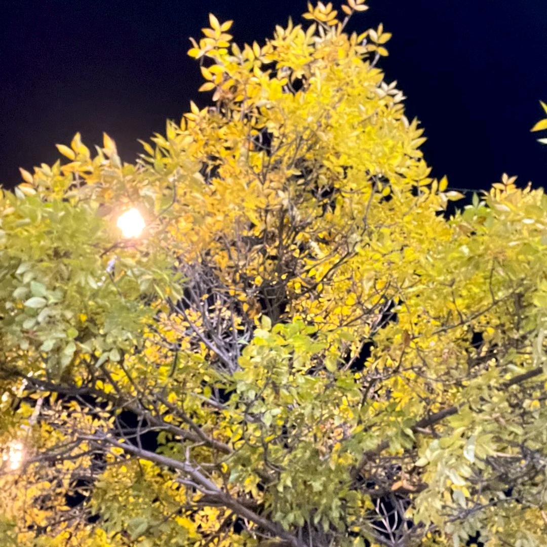 有故事的小姐姐