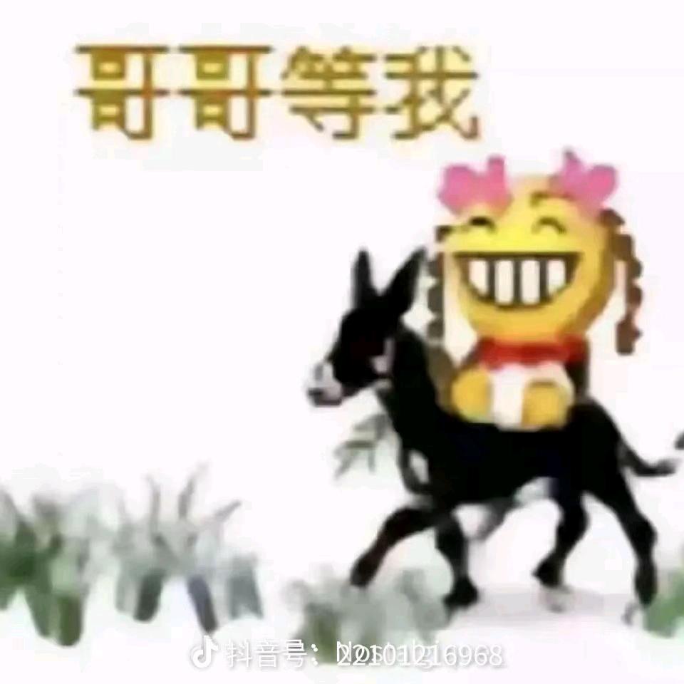 茶叶蛋🤓