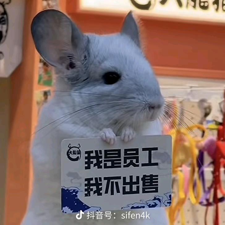 小何