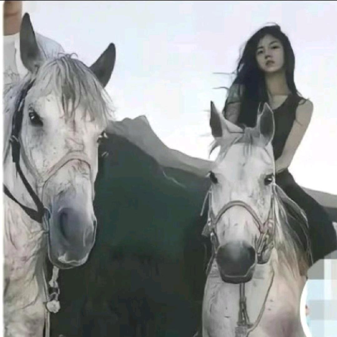 雾..