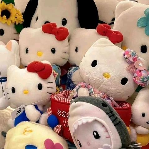 梵辰祝～预约看主页