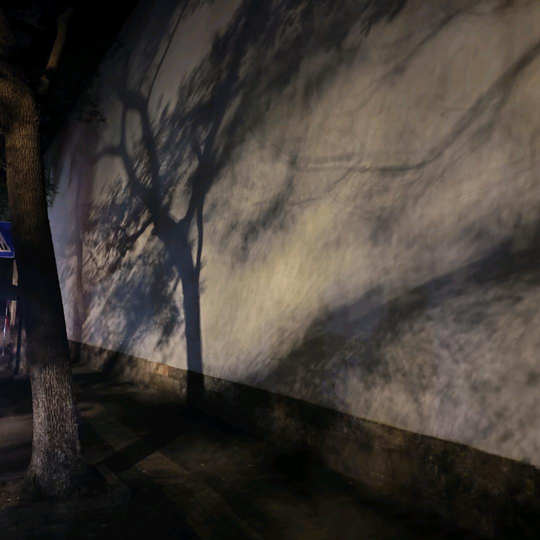 蠹鱼711