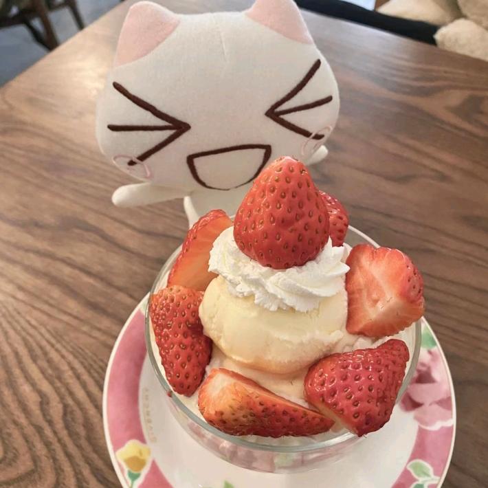 香菜好吃吗