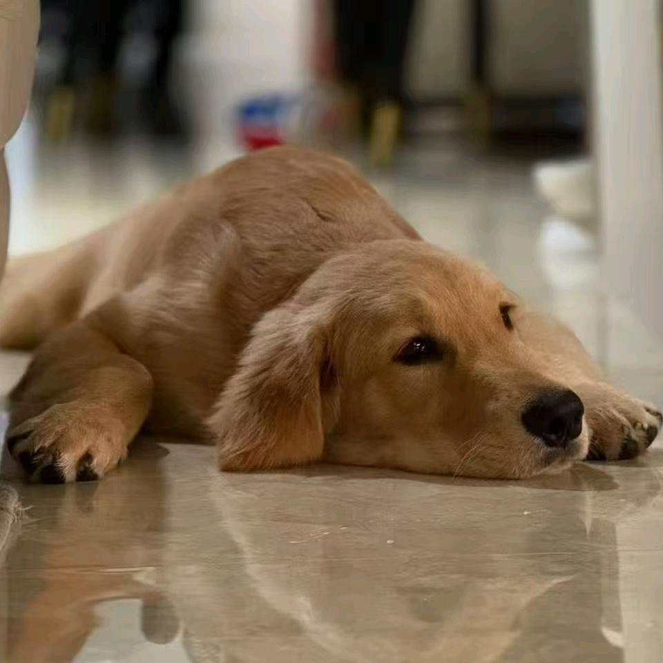 1元戒#戒赌反赌副主任