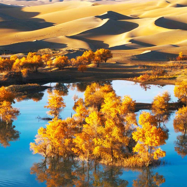 傲雪寒梅❄️🔪