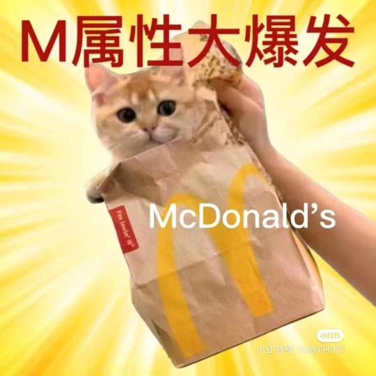 来杯热芋泥牛乳