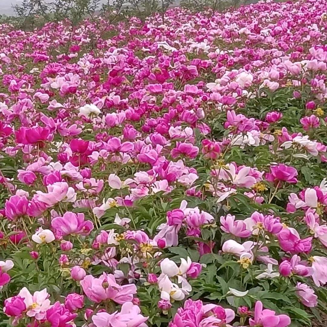 我就是我