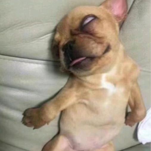 宇宙第一帅气邪魅总裁霸道暴龙战士普信男