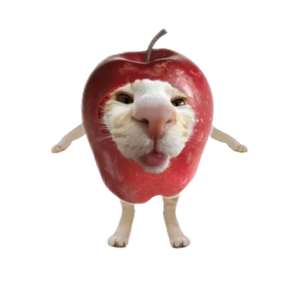 就叫红饼果O.o